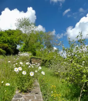 The vegetation is lush at the Baie de Morlaix golf course